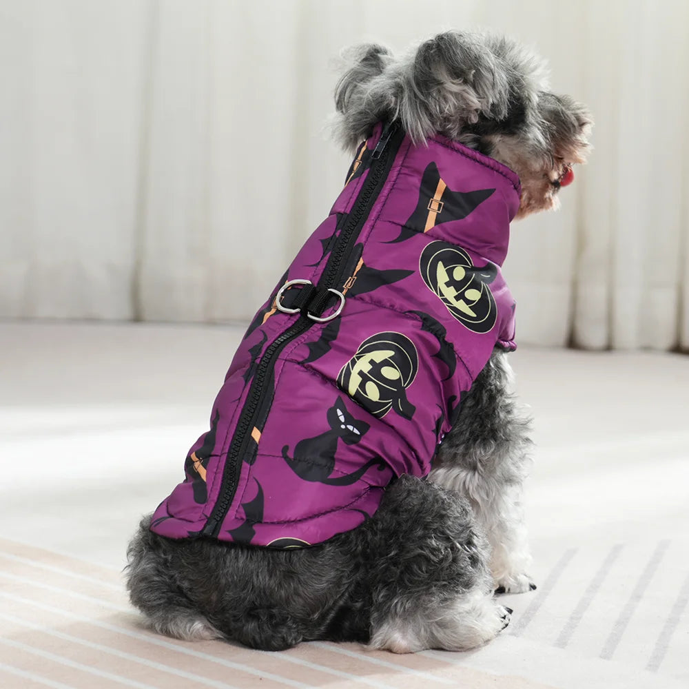 Pumpkin Pet Warmth Jacket