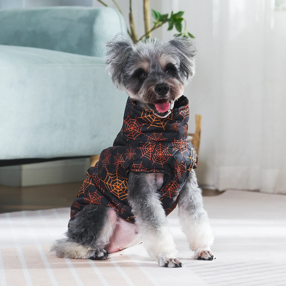 Pumpkin Pet Warmth Jacket