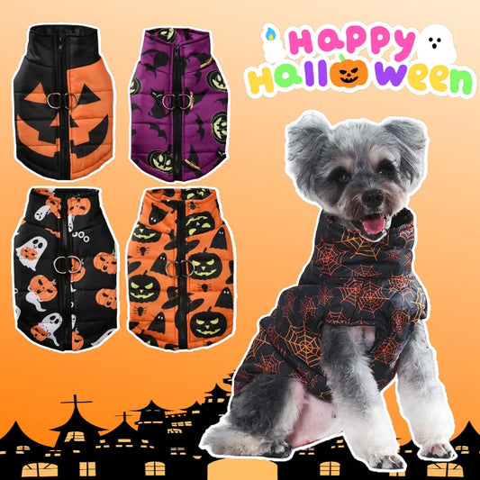 Pumpkin Pet Warmth Jacket